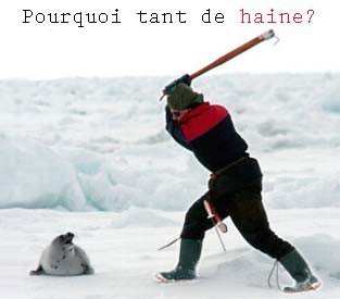 Pourquoi tant de haine ?!